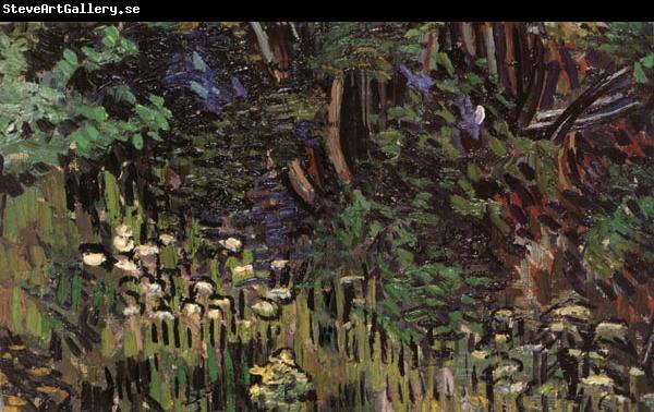 Vincent Van Gogh Details of Bushes
